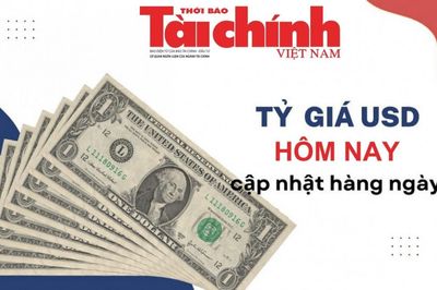 Tỷ giá USD hôm nay (3/8): Tỷ giá trung tâm tiếp đà tăng, USD xuống đáy 6 tuần khi chờ báo cáo việc làm Mỹ