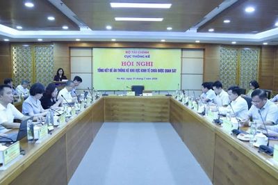 Lấp dần khoảng trống dữ liệu để đánh giá đúng quy mô nền kinh tế