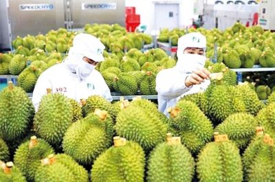 Xuất khẩu nông, lâm, thủy sản tăng tốc, đạt gần 42,8 tỷ USD sau 7 tháng