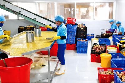 'Tài sản trí tuệ' từ nông sản chế biến: Lối thoát khỏi bẫy bán thô cho HTX