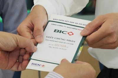 Chi phí bồi thường tăng hơn 40%, lợi nhuận quý 2 của BIC giảm 2 chữ số