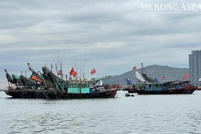 Sản xuất nông nghiệp tháng 7 tăng trưởng ở hầu hết các lĩnh vực
