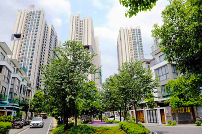 Tập đoàn Hà Đô (HDG) báo lãi quý II/2026 gấp gần 4 lần nhờ giảm gánh nặng tỷ giá