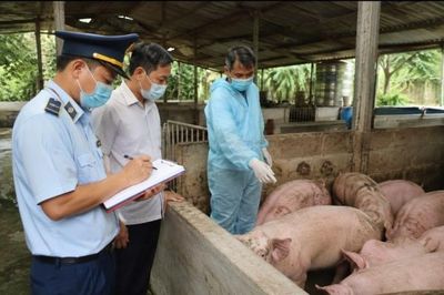 Tăng cường kiểm tra, xử lý nghiêm vi phạm về chăn nuôi, thú y và an toàn thực phẩm