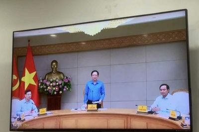 Quảng Ninh: Triển khai các giải pháp chống khai thác IUU, hướng tới gỡ 'thẻ vàng' trong năm 2026