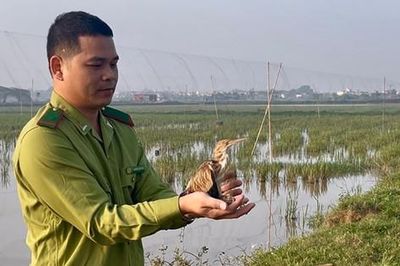 Hà Nội: Tăng cường bảo vệ động vật hoang dã nguy cấp, quý hiếm