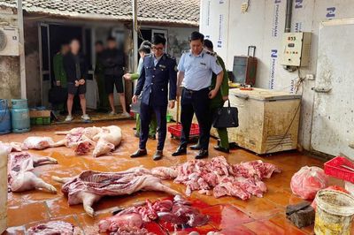 Hưng Yên: Điều tra vụ gần 1 tấn thịt lợn nhiễm dịch tả châu Phi, lợn bệnh 'suýt' đưa ra thị trường