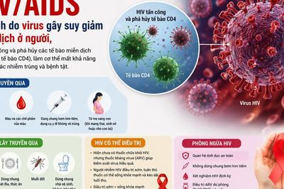 8 hiểu lầm về HIV/AIDS vẫn tồn tại dù y học đã chứng minh điều ngược lại