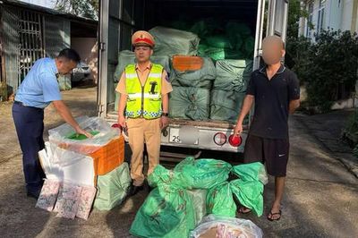 Quảng Ninh: Phát hiện xe tải chở 1,7 tấn thực phẩm đông lạnh không rõ nguồn gốc
