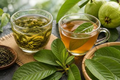 Lá ổi hay trà xanh làm chậm quá trình lão hóa hơn?