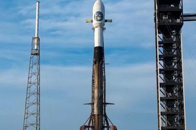 SpaceX phóng vệ tinh do thám mật của Mỹ lên quỹ đạo