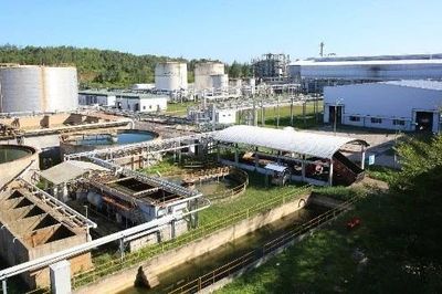 Năng lực sản xuất nhiên liệu sinh học tại miền Trung ra sao?