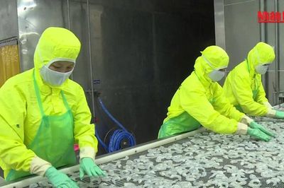[Video] Mỗi tháng có gần 27.000 doanh nghiệp thành lập mới và quay trở lại hoạt động