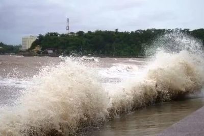 Chủ động ứng phó áp thấp nhiệt đới và gió mạnh trên biển