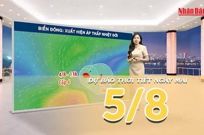 [Video] Dự báo thời tiết đêm nay và ngày mai ngày 5/8/2026: Xuất hiện áp thấp nhiệt đới trên Biển Đông