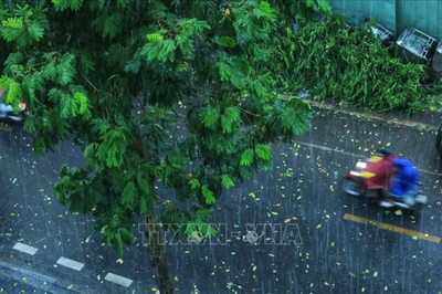 Thời tiết hôm nay (4-8): Bắc Bộ nhiều nơi có mưa to