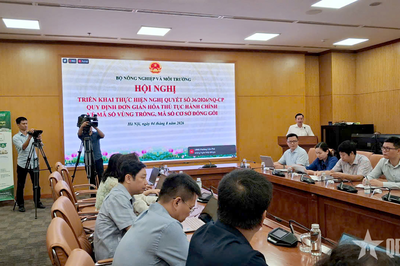 Bộ Nông nghiệp và Môi trường sẽ thành lập tổ công tác hỗ trợ xây dựng mã số vùng trồng
