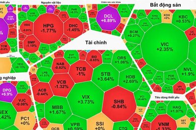 VN-Index tiến sát 1.780 điểm, cổ phiếu PNJ tăng trần phiên thứ 2