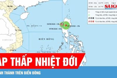 Áp thấp nhiệt đới xuất hiện trên Biển Đông: Cảnh báo gió giật cấp 8, biển động