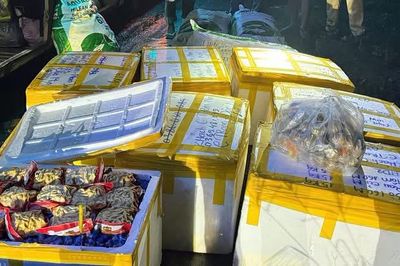 Phát hiện hơn 800kg cá viên, tôm viên, bò viên không rõ nguồn gốc trên xe khách