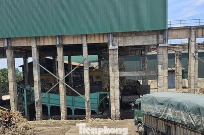 Công ty Cổ phần Mía đường 333 bị phạt 1,5 tỷ đồng