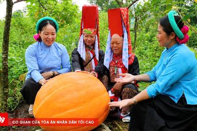 Độc đáo mô hình bí ngô khổng lồ nơi vùng biên Hoành Mô
