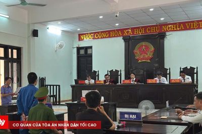 Tuyên án chung thân bị cáo sát hại mẹ ruột