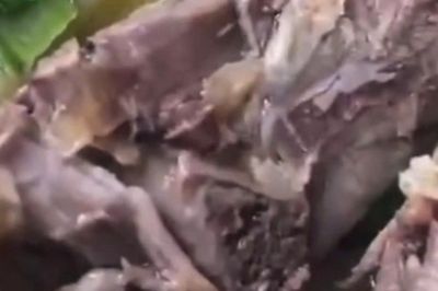 Vụ dòi bò lúc nhúc trong bữa tiệc tân gia: Xử phạt chủ nhà hàng 27 triệu đồng
