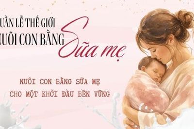 Tuần lễ Thế giới Nuôi con bằng sữa mẹ 2026: Vì một khởi đầu bền vững