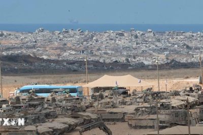 Israel và Hội đồng Hòa bình thảo luận giải giáp vũ khí tại Gaza
