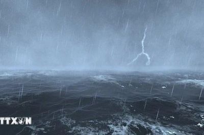 Đề nghị 21 địa phương chủ động ứng phó áp thấp nhiệt đới, gió mạnh trên biển