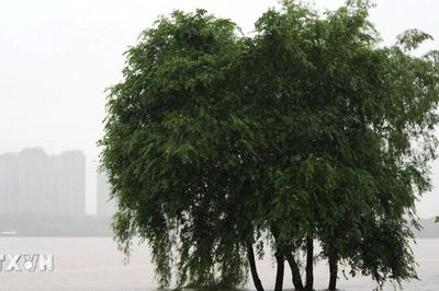 Trung Quốc duy trì cảnh báo mưa lớn và dông mạnh