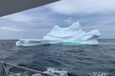Twillingate - điểm hẹn ngắm băng trôi và cá voi ở Canada