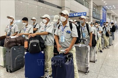 Sửa Luật đưa lao động đi làm việc ở nước ngoài: Cắt giảm thủ tục, tăng phân cấp và chuyển đổi số