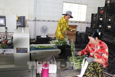 Đồng Tháp và chiến lược biến nông dân thành nông dân số