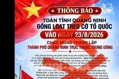 Thông tin toàn tỉnh Quảng Ninh đồng loạt treo cờ Tổ quốc ngày 23/8 là tin giả