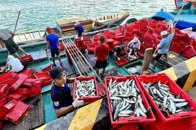 Doanh nghiệp thủy sản cảnh báo 'điểm nghẽn' trong dự thảo Luật An toàn thực phẩm