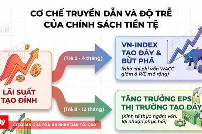 Chu kỳ nới lỏng tiền tệ & chiến lược tích sản giá trị – Kỳ 1: Khi bảng điện chạy trước nền kinh tế