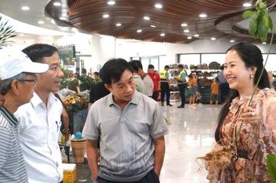 Lễ hội Sâm Ngọc Linh và Dược liệu 2026: Kết quả thương mại ấn tượng