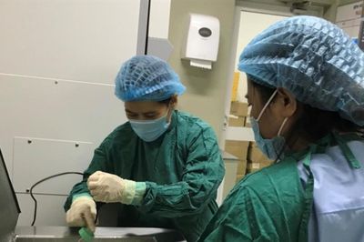 Khởi đầu bền vững từ dòng sữa mẹ