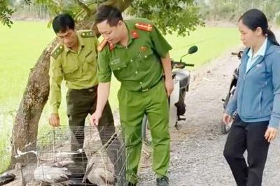 Thực hiện nhiều giải pháp bảo vệ động vật hoang dã, nguồn lợi thủy sản