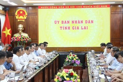 UBND tỉnh Gia Lai làm việc với Tập đoàn Điện lực Việt Nam về Quy hoạch điện VIII điều chỉnh