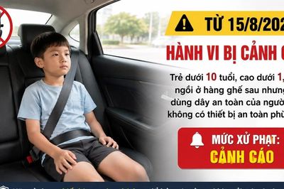 Không phải 'hoãn phạt ghế trẻ em': Quy định mới từ 15/8 cha mẹ cần biết