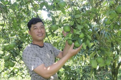 Xã Khánh Vĩnh: Nâng tầm giá trị nông sản