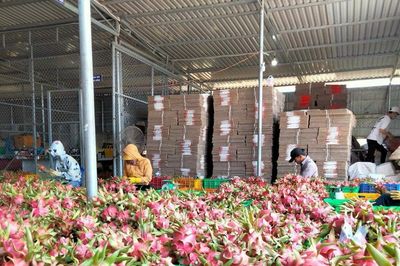 Khoa học, công nghệ tiếp sức hợp tác xã phát triển