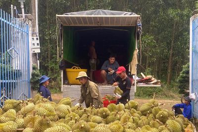 Xây dựng cộng đồng sản xuất chuyên nghiệp