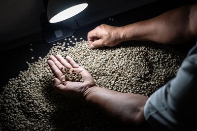 Giá cà phê hôm nay 4/8: Diễn biến trái chiều, robusta tăng nhẹ