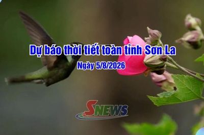 Dự báo thời tiết toàn tỉnh Sơn La ngày 05/8/2026