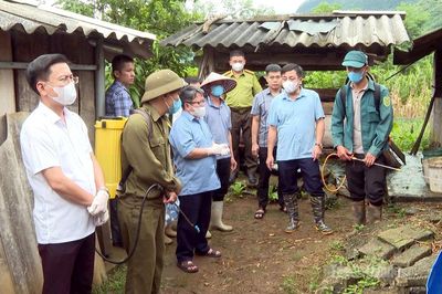 Kiểm tra phòng, chống dịch bệnh động vật và triển khai các mô hình chuyển đổi cây trồng