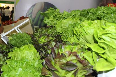 HTX tạo giá trị mới cho rau Đà Lạt bằng sở hữu trí tuệ và công nghệ số